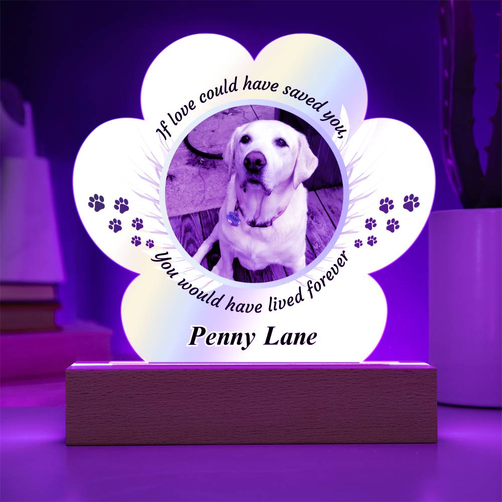Loss of Pet Acrylic Paw Print with Photo & Angel Wings - Pet Sympathy Gift – Personalized pet memorial by Sunrise Keepsakes