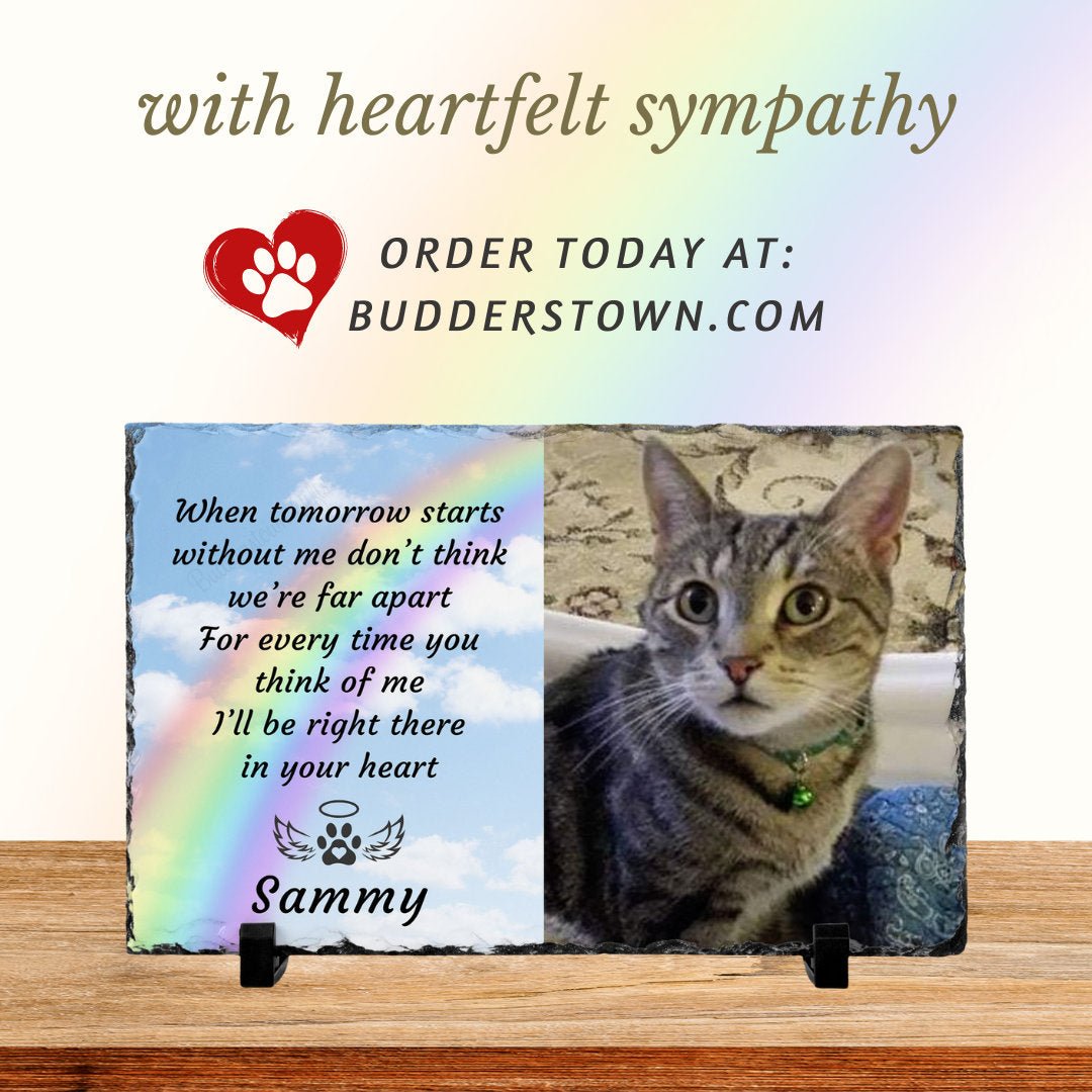 Cat Memorial, Loss of Cat, Gift for loss of Cat, Gift for Pet Loss, Pet Sympathy – Personalized pet memorial by Sunrise Keepsakes