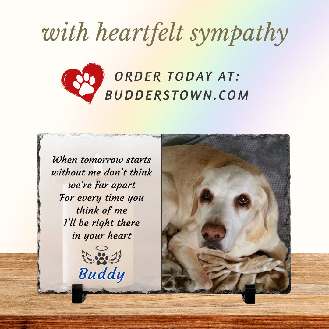 Loss of Dog Sympathy Gift, Dog Memorial, Cat Memorial, Gift for Pet Loss, Pet Sympathy – Personalized pet memorial by Sunrise Keepsakes