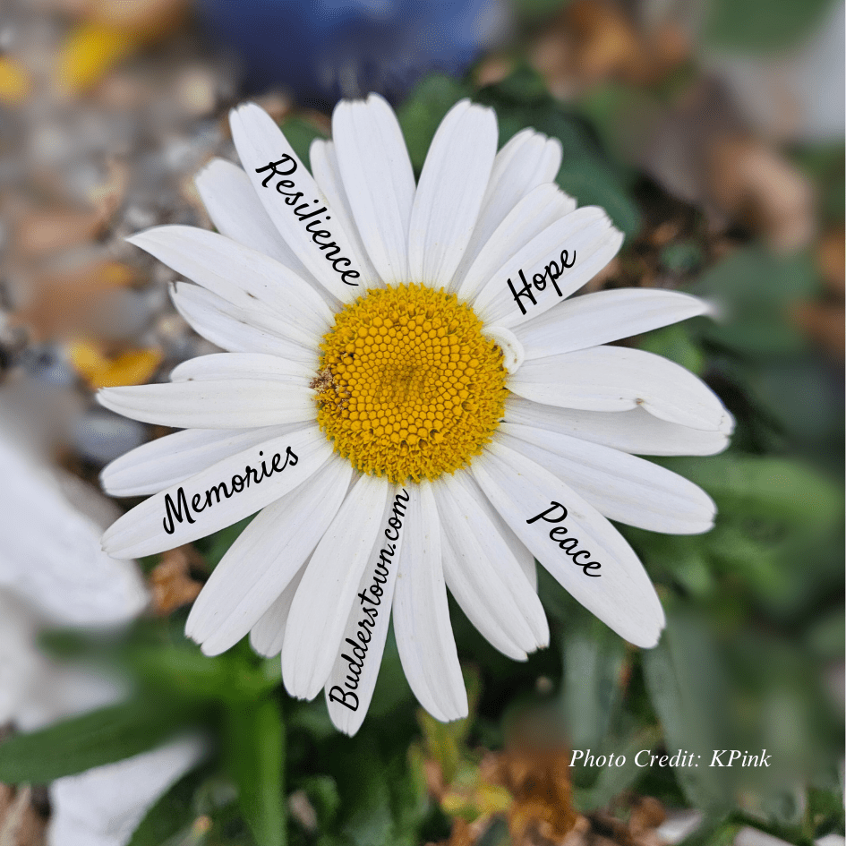 A Daisy for Daisy - Pet Loss - Sunrise Keepsakes Co.