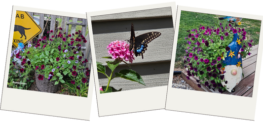 Why Slowing Down Was the Best Thing I Never Planned