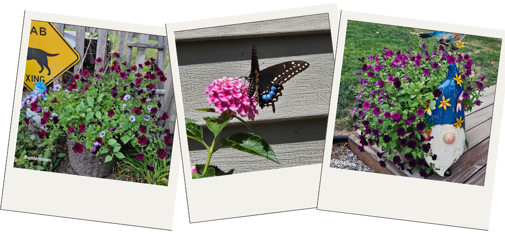 Why Slowing Down Was the Best Thing I Never Planned - Sunrise Keepsakes Co.