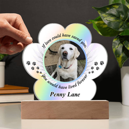 Loss of Pet Acrylic Paw Print with Photo & Angel Wings - Pet Sympathy Gift – Personalized pet memorial by Sunrise Keepsakes