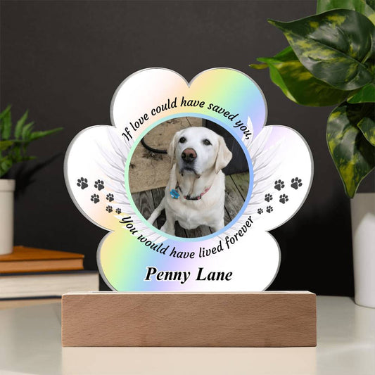 Loss of Pet Acrylic Paw Print with Photo & Angel Wings - Pet Sympathy Gift – Personalized pet memorial by Sunrise Keepsakes