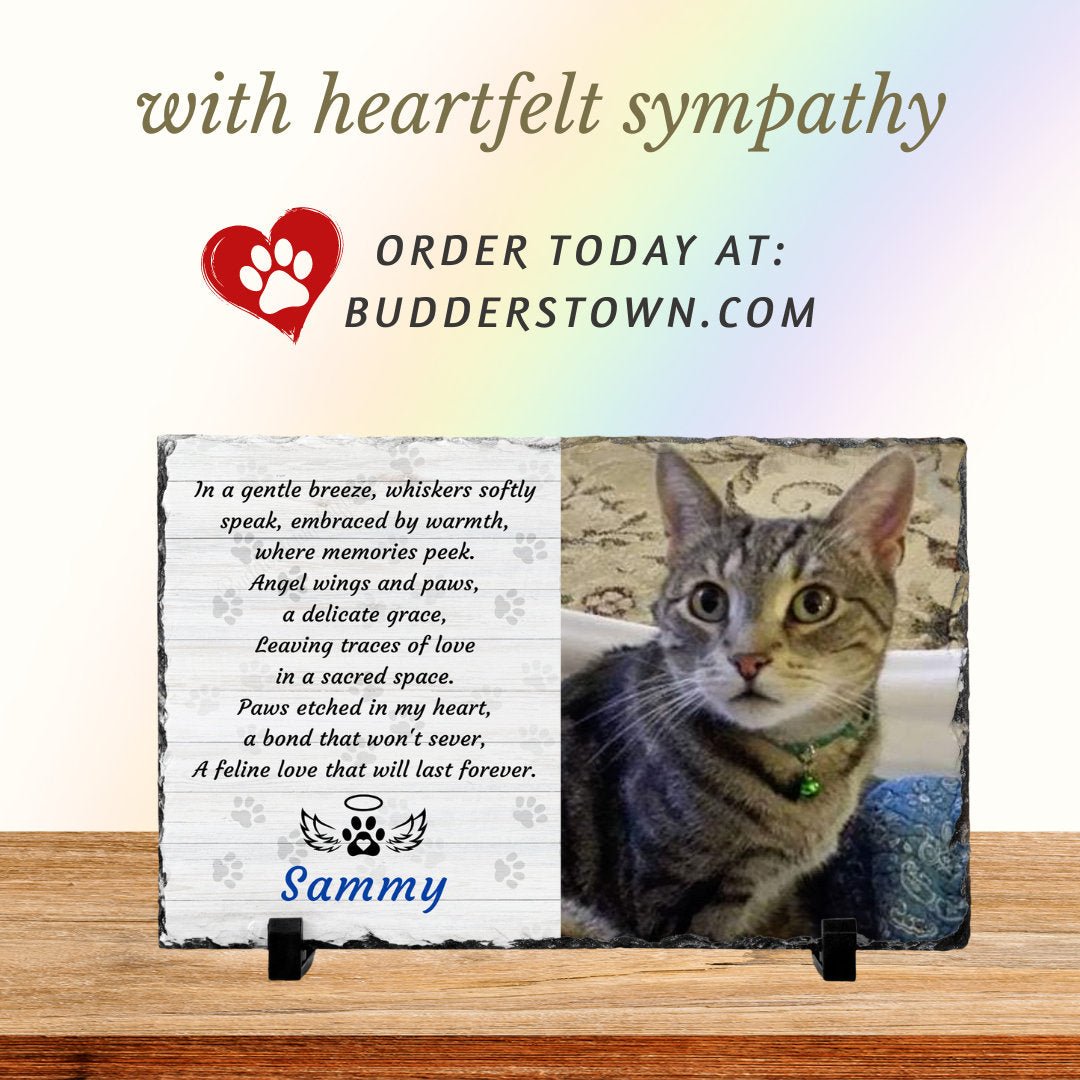 Loss of Cat, Cat Memorial, Gift for loss of Cat, Gift for Pet Loss, Pet Sympathy – Personalized pet memorial by Sunrise Keepsakes