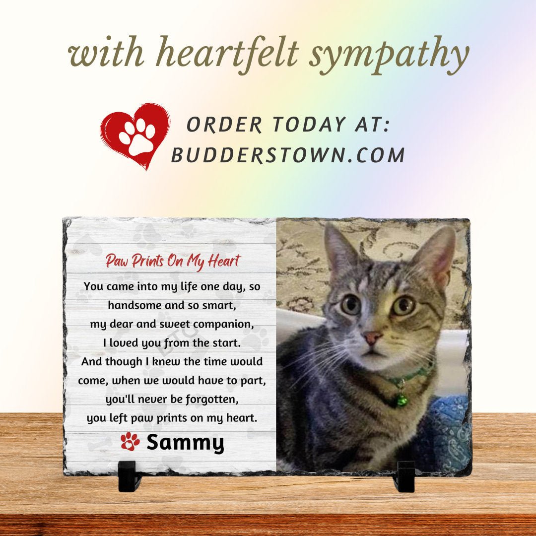 Loss of Pet, Cat Memorial Gift, Pet Sympathy Gift, Paw Prints on my Heart – Personalized pet memorial by Sunrise Keepsakes