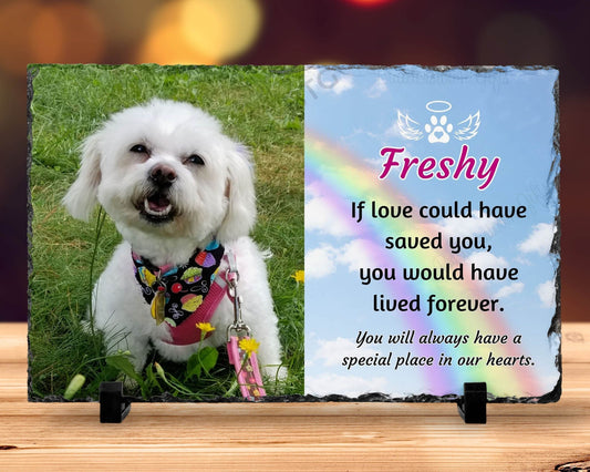 Loss of Pet, Dog Memorial Gift, Pet Sympathy Gift, If Love Could Have Saved You – Personalized pet memorial by Sunrise Keepsakes